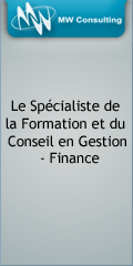 MW Consulting