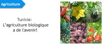 Agriculture