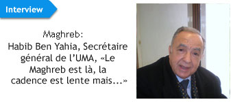 Interview