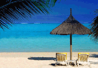 netguide_200424062_pres.gif