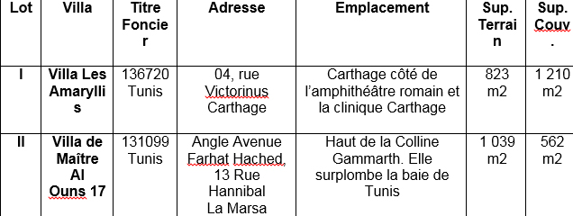 gammarth-immo-ao-102015.jpg