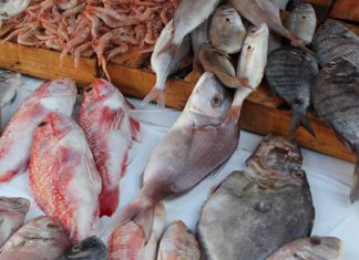 poisson