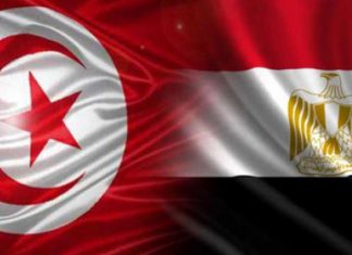 Sécurité hydrique : la Tunisie et l’Égypte intensifient leur coopération