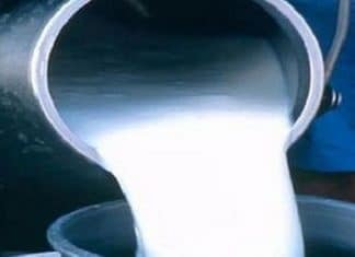 AGRICULTURE Tunisie : l’UTAP alerte sur le lait et des stocks avicoles presque épuisés