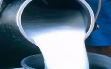AGRICULTURE Tunisie : l’UTAP alerte sur le lait et des stocks avicoles presque épuisés