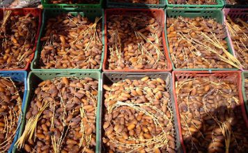 Exportations | Dattes : après le milliard de dinars, combien la Tunisie gagne-t-elle réellement par tonne exportée ?