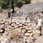 Un développement inclusif est nécessaire pour sortir les gens et les régions de la vulnérabilité, selon (Tahar El Almi)