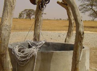 Tataouine : les eaux salées, une opportunité pour diversifier les cultures Puit