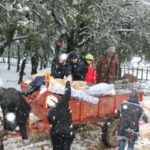 Météo: Jendouba va greloter