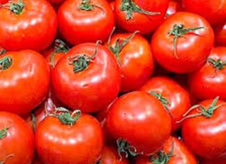 Tomates