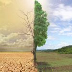 Environnement