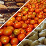 La FAO lance une plateforme pour financer l’agriculture durable