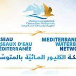 5ème réunion régionale du Réseau Oiseau d’Eau Méditerranée à Tunis