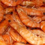 Tunisie–FAO : de nouvelles mesures régionales pour protéger les crevettes rouges, la langoustine et le pageot