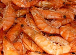 Tunisie–Italie : derrière la crise des crevettes rouges, la bataille des quotas et de la concurrence en Méditerranée