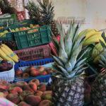 Exportations de fruits de la Tunisie en chute libre : -44,7% en 2023