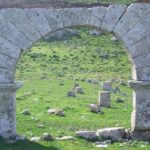 Colloque sur la contribution des Tunisiens à l’étranger à la promotion du tourisme alternatif à Béja