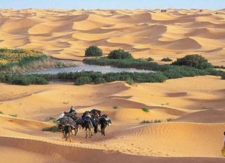 TOURISME — TOZEUR Tozeur vise 200 000 visiteurs, mais avec combien de lits disponibles ?