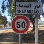 Agriculture, pêche, eau d’irrigation : Des solutions innovantes présentées au forum de Ghardimaou