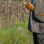 Chasse