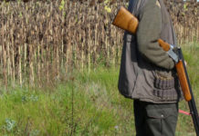 Chasse