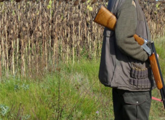 Tunisie : la saison de chasse 2026-2027 ouvre ce dimanche Chasse
