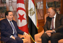 Diplomatie: Entretien au Caire entre Sameh Choukri et Khemaies Jhinaoui