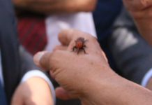 Coup d’envoi de la journée interrégionale de lutte contre le charançon rouge à Radès