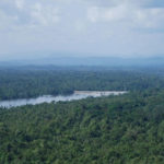 Climat: Le Gabon récolte les dividendes de sa politique de non “déforestation“