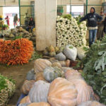 Pourquoi les prix des fruits et poissons explosent à Bir El Kassaa ?