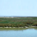 L’empire Mheni en cours de démantèlement par la justice