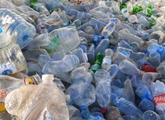Pollution plastique en Tunisie : un coût annuel jusqu’à 560 millions $