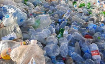 Pollution plastique en Tunisie : un coût annuel jusqu’à 560 millions $