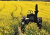 Agriculture