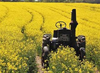 Agriculture