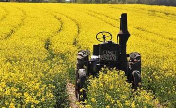 Agriculture