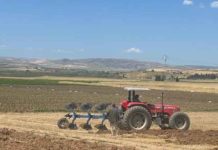 AGriculture
