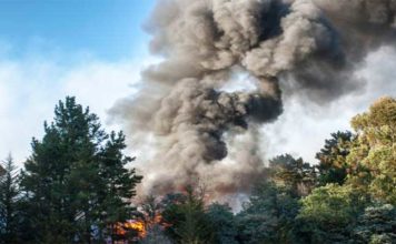 POLITIQUES PUBLIQUES | RISQUES CLIMATIQUES Après 14 000 hectares touchés, combien la Tunisie investit-elle réellement dans la prévention des incendies ?