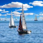 Climat et biodiversité marine : comment la science citoyenne transforme la résilience méditerranéenne nateau