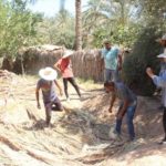 Tozeur : 25 hectares reboisés pour lutter contre l’ensablement et la désertification