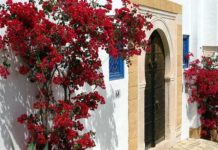 Tunisie Sidi Bou Said