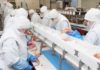 Industrie tunisienne : derrière la croissance, le risque d’une sous-traitance à deux vitesses