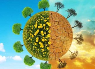 Climat