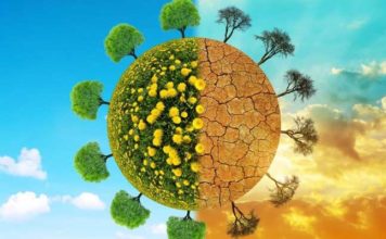 Climat