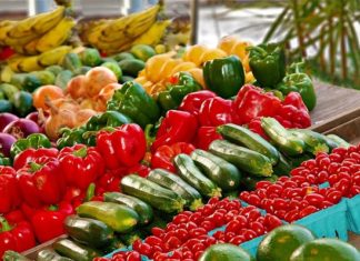Tunisie, le paradoxe agricole : Quand la pluie nourrit… la spéculation Produits alimentaires