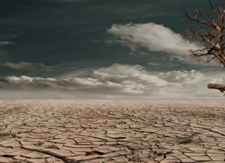 COP17 : la Tunisie plaide pour le renforcement de l’adaptation à la sécheresse secheresse