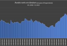 Avoirs en devises