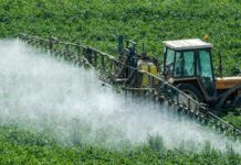 agricole