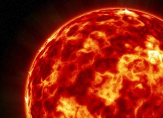ALERTE CANICULE | Près de 50°C et des coupures d’électricité : la Tunisie au bord de la surchauffe Météo