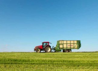 Tunisie-Nigeria : le CEPEX organise des rencontres B2B à Abuja Agriculture